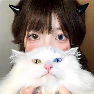 菊石