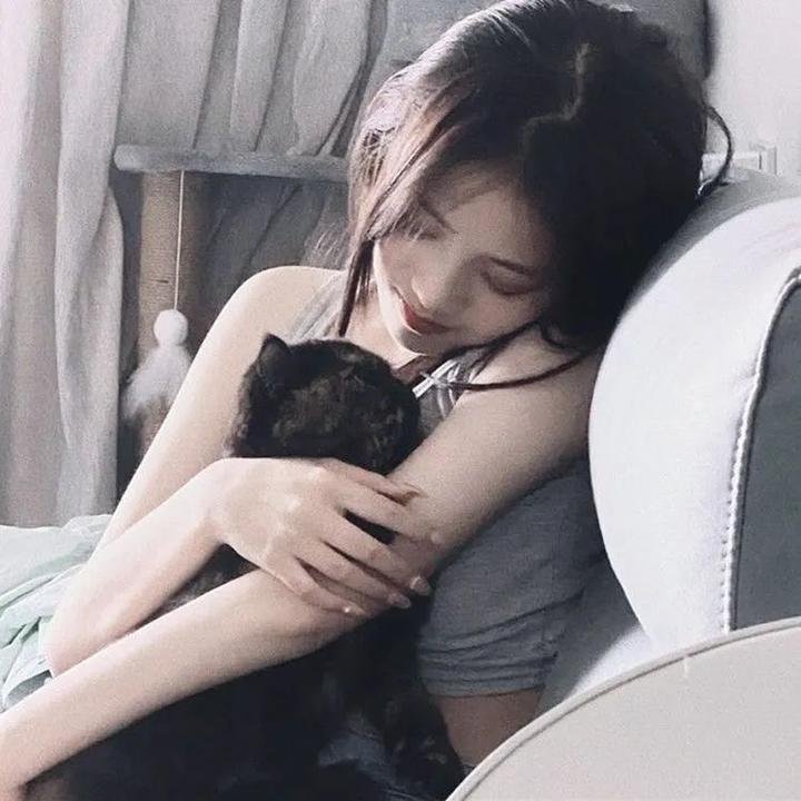 邪恶力量第十五季